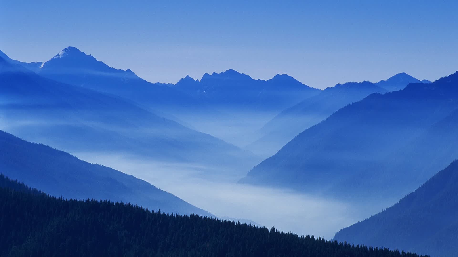 世界登山青年导师生态修复项目第22批结项名单公布,世界登山大师